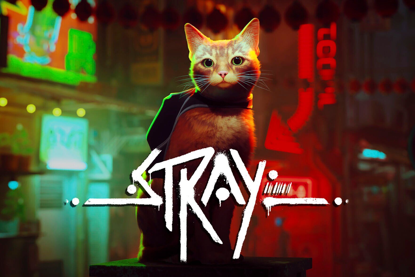 Cat Video Game